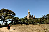 Old Bagan Myanmar. Shwe-gu-gyi temple. 